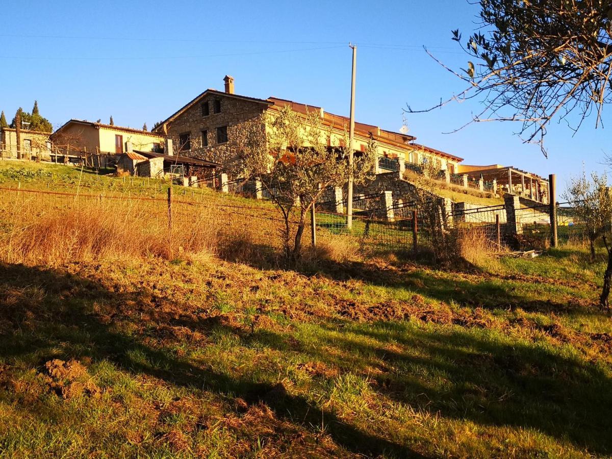 Agriturismo Olimpo Villa Santa Maria  外观 照片