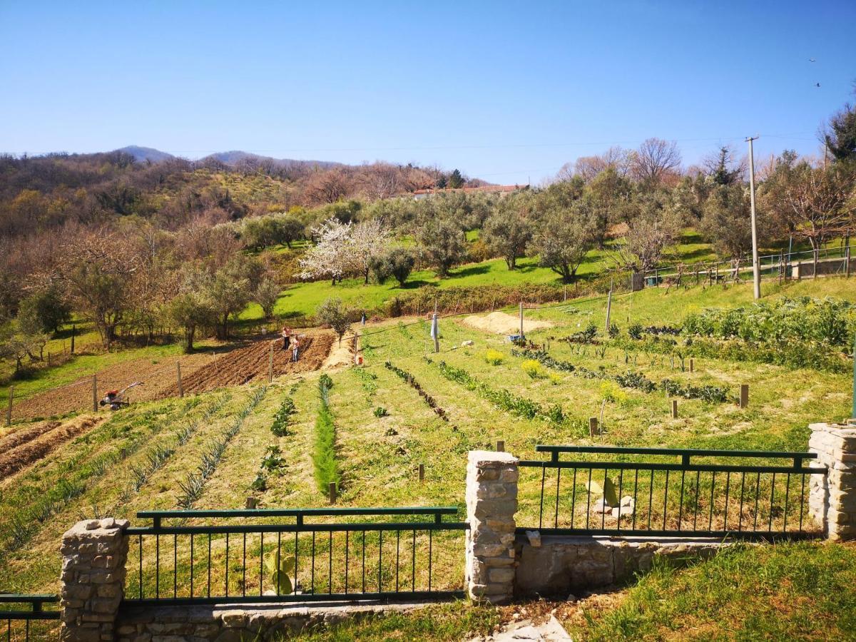 Agriturismo Olimpo Villa Santa Maria  外观 照片