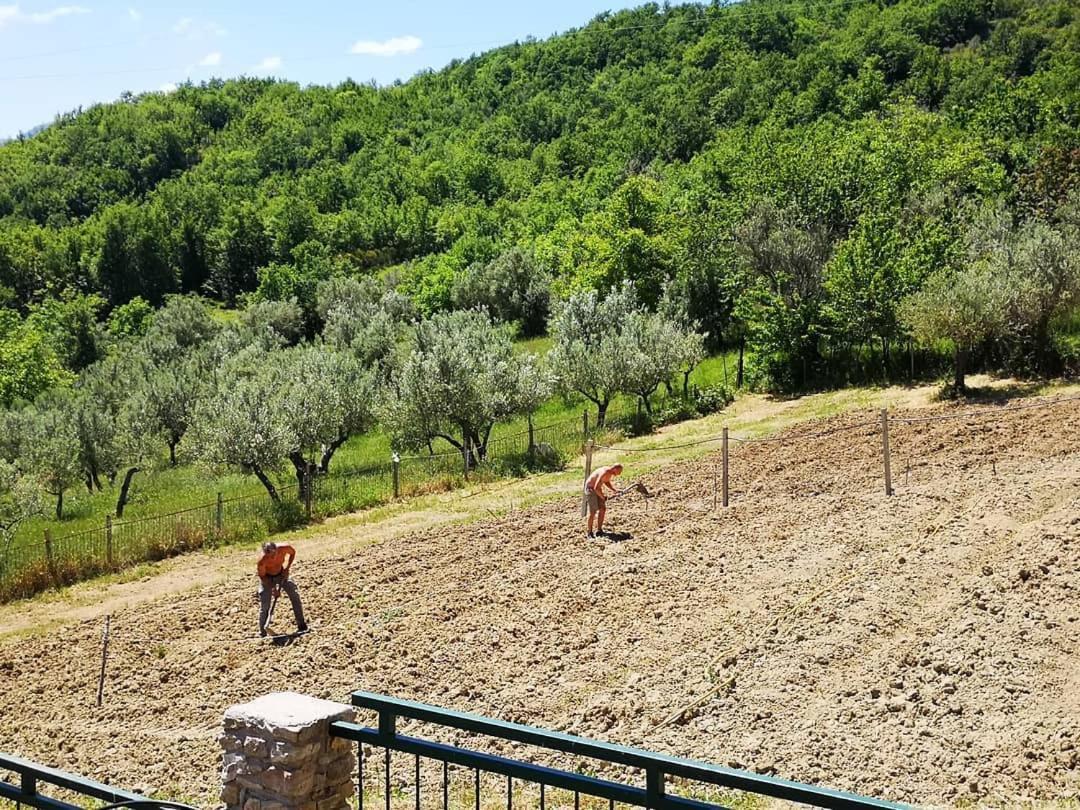 Agriturismo Olimpo Villa Santa Maria  外观 照片