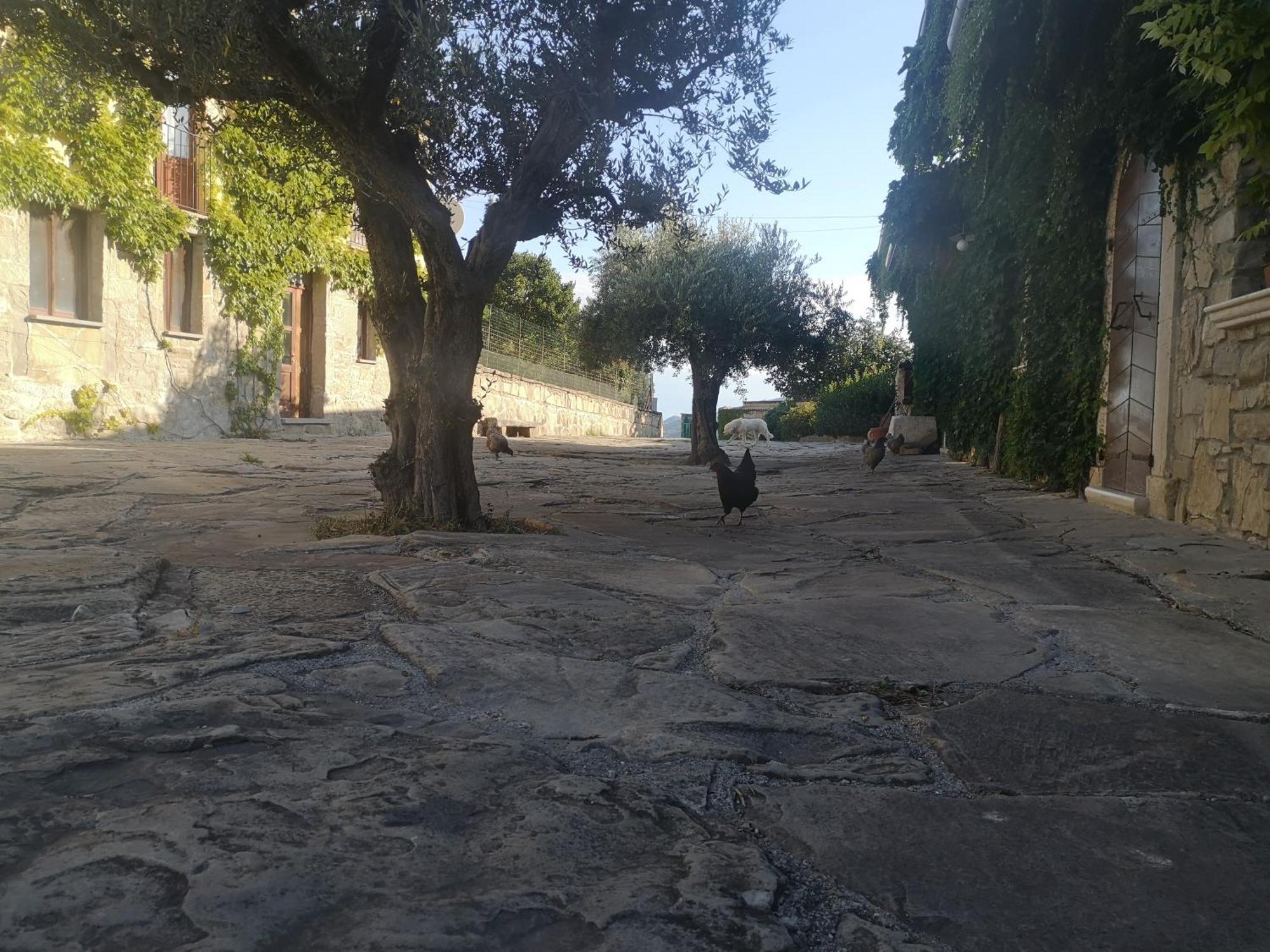 Agriturismo Olimpo Villa Santa Maria  外观 照片